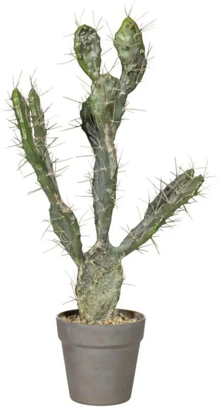Kunstkaktus Opuntie ca. 58cm