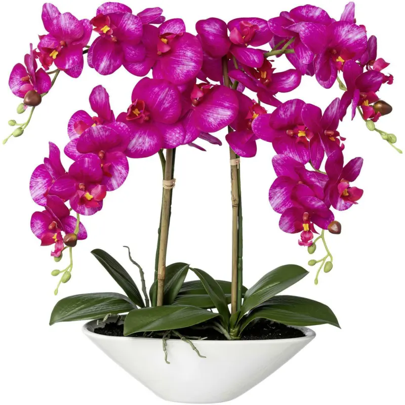 Kunstpflanze Phalänopsis in Lila