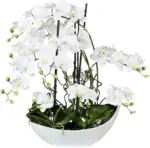 mömax Dornbirn - Ihr Trendmöbelhaus in Dornbirn Kunstorchidee Real Touch ca. 68cm