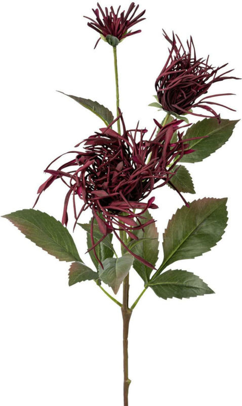 Kunstblume Dhalie II in Bordeaux