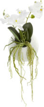 mömax Spittal a. d. Drau Kunstpflanze Phalaenopsis II in Weiß