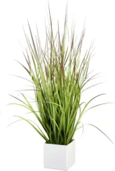 Kunstpflanze Blutgras inkl. Topf