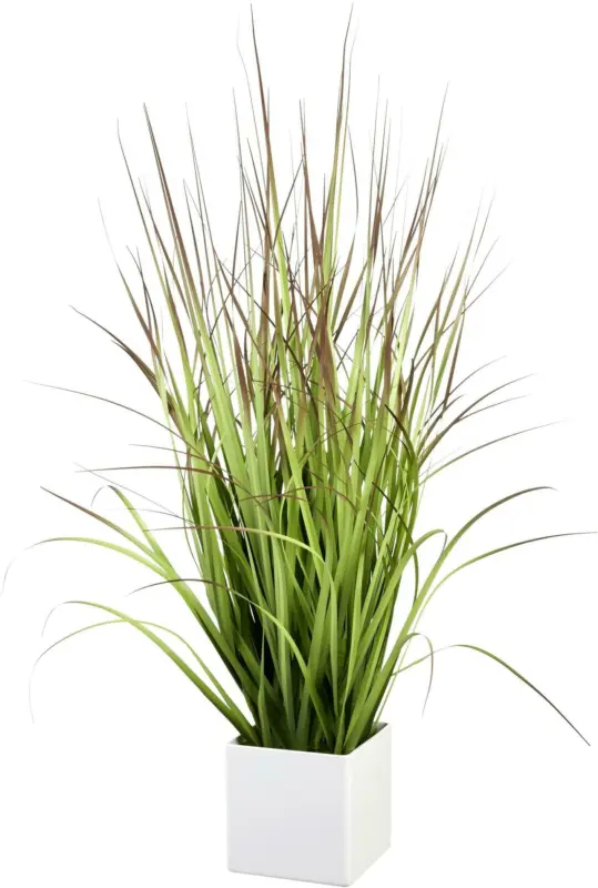 Kunstpflanze Blutgras inkl. Topf