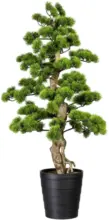 mömax Dornbirn - Ihr Trendmöbelhaus in Dornbirn Kunstpflanze Bonsai ca. 110cm
