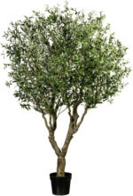 mömax Spittal a. d. Drau Kunstpflanze Olivenbaum ca. 240cm