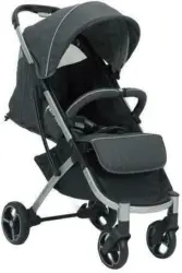 Buggy X-Easy Fold in Anthrazit