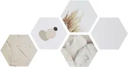 Bild Hexagon, 5er Set