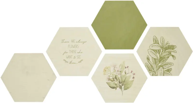 Bild Hexagon, 5er Set