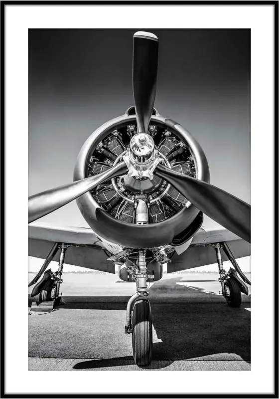 Bild Elena in Schwarz ca. 50x70cm