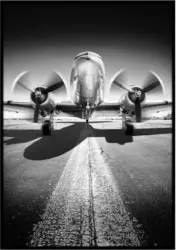 Bild Elena ca. 50x70cm