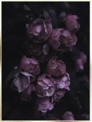 Bild Elena in Lila ca. 50x70cm