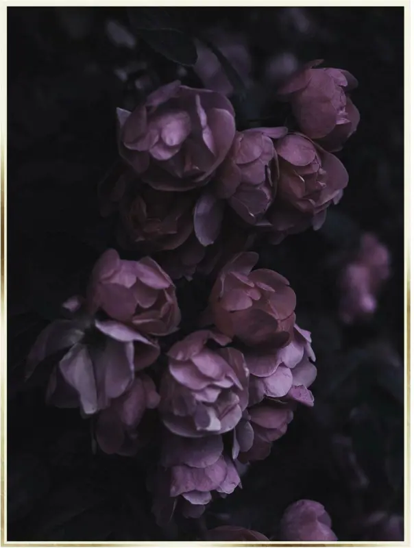 Bild Elena in Lila ca. 50x70cm