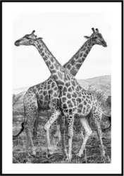 Bild Elena in Schwarz ca. 50x70cm