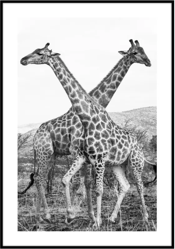 Bild Elena in Schwarz ca. 50x70cm