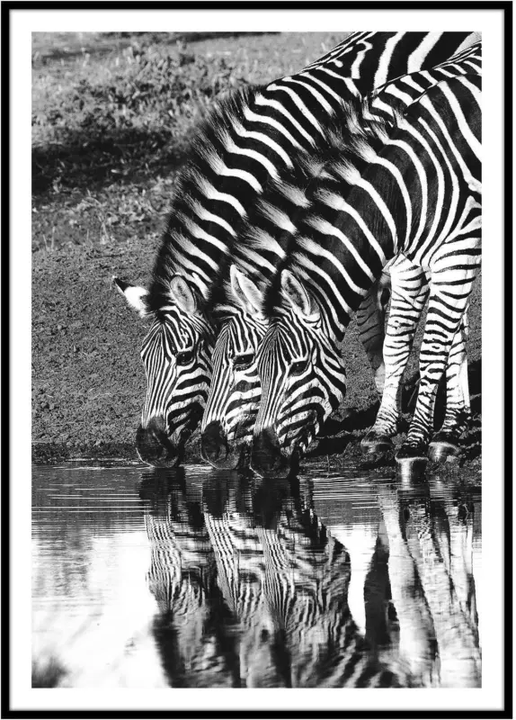 Bild Elena in Schwarz ca. 50x70cm