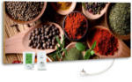 mömax Spittal a. d. Drau Infrarot-Heizpaneel Spice mit Thermostat