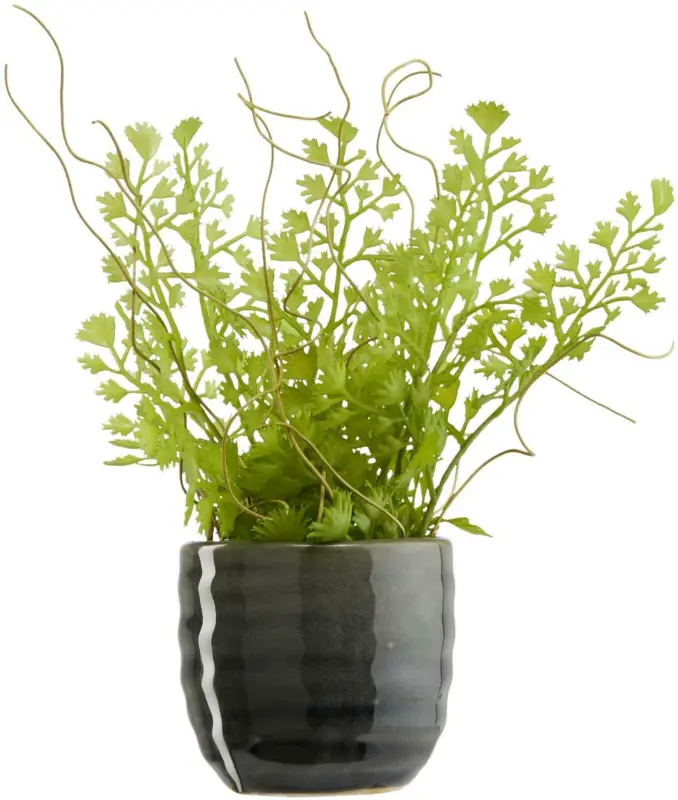 Übertopf Mood in Grau Ø ca. 6,5cm