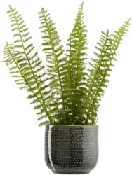 Übertopf Mood in Grau Ø ca. 6,5cm