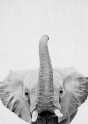 Postkarte Junique in Grau/Schwarz