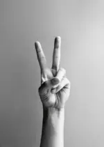 mömax Postkarte Junique in Grau/Schwarz