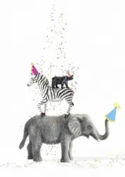 Postkarte Junique in Bunt