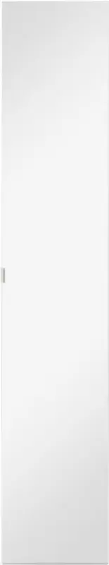 Tür in Alufarben inkl. Spiegel