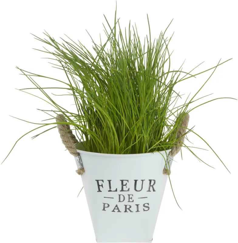 Übertopf Fleur De Paris in Weiß