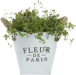 Übertopf Fleur De Paris in Weiß