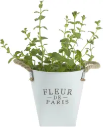 Übertopf Fleur De Paris in Weiß