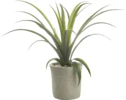 Kunstpflanze Agave in Grün