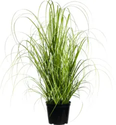 Grasbündel Patrick aus Polyester ca. 40cm