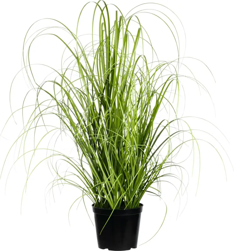 Grasbündel Patrick aus Polyester ca. 40cm