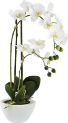 Kunstpflanze Orchidee in Weiß