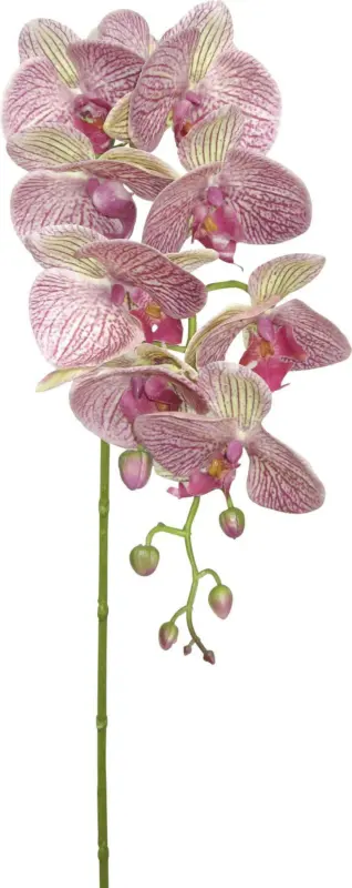 Kunstpflanze Phalenopsis in Lila