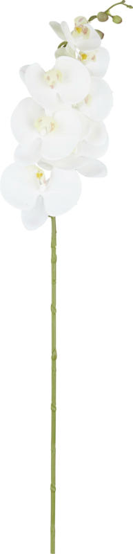 Kunstpflanze Phalenopsis in Weiß