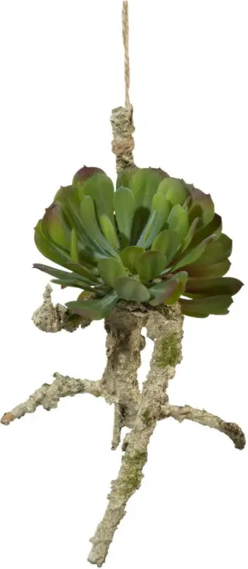 Dekoast Sukkulente auf Ast