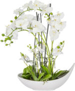 mömax Spittal a. d. Drau Kunstpflanze Phalänopsis in Weiß