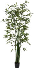 mömax Spittal a. d. Drau Kunstpflanze Bambus