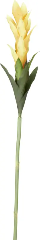 Kunstblume Curcumablüte in Gelb/Grün
