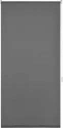 Klemmrollo Daylight in Grau ca. 75x150cm