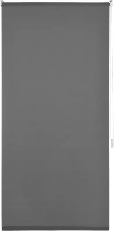 Klemmrollo Daylight in Grau ca. 75x150cm