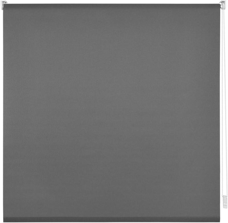 Klemmrollo Daylight in Grau ca. 120x150cm