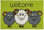 mömax Dornbirn - Ihr Trendmöbelhaus in Dornbirn Fußmatte Welcome Sheep in Multicolor ca. 40x60cm