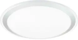 LED-Deckenleuchte Carry max. 30 Watt Deckenlampe