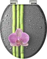 WC-Sitz in Anthrazit