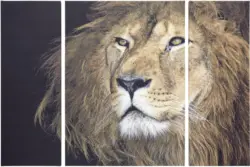 Keilrahmenbild Marius ca. 116x80x1,8cm