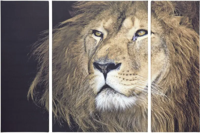 Keilrahmenbild Marius ca. 116x80x1,8cm