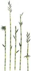 Dekosticker Bambus ca. 50x70cm