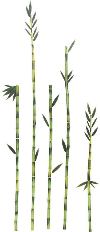 Dekosticker Bambus,50x70cm