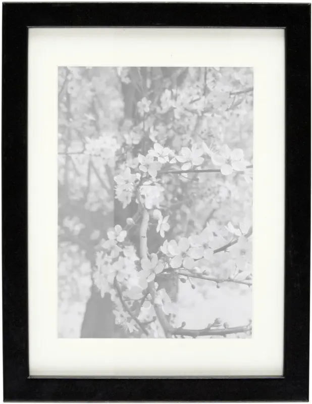 Bilderrahmen Gitta in Schwarz ca. 18x24cm